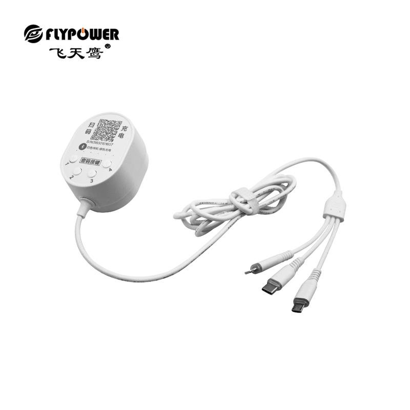 共享充電線：小項(xiàng)目，賺大錢